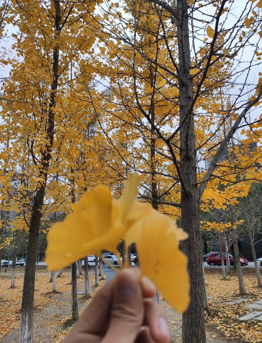 Alaoui Hicham tweet media