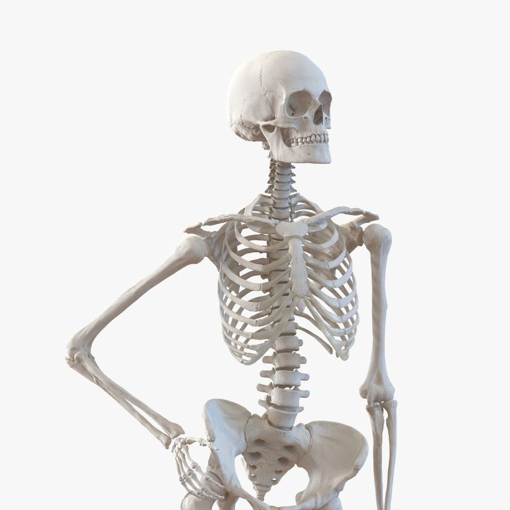 acervo jogos vorazes tweet media