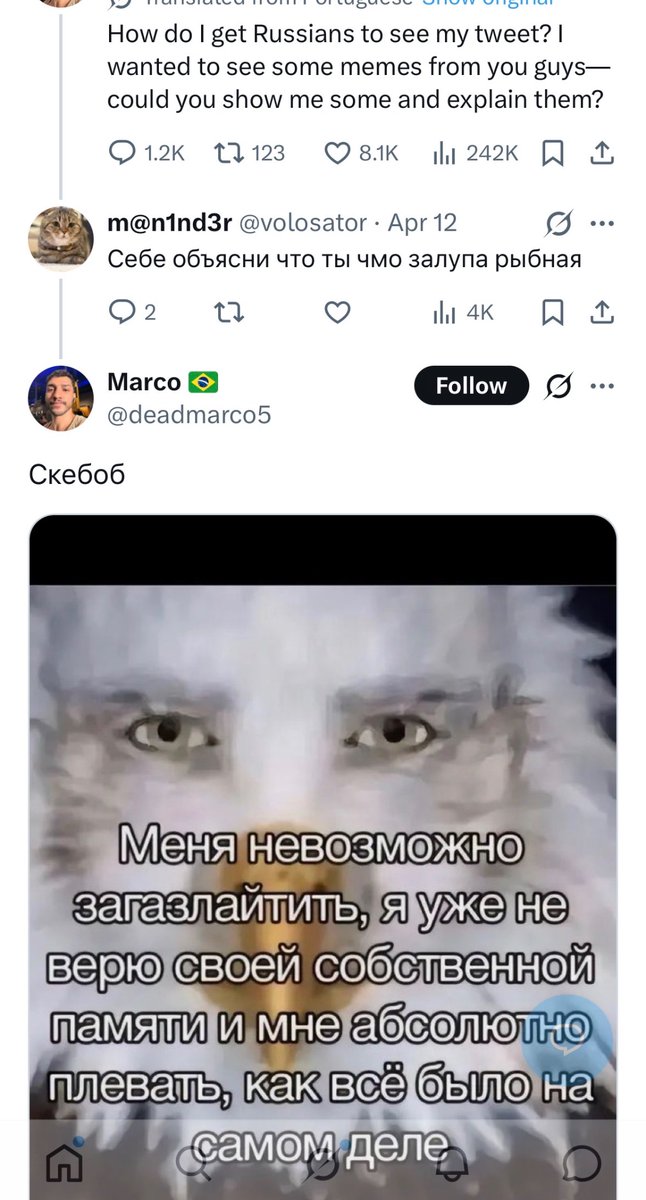 Паника в Эн 🏳️🌈 tweet media