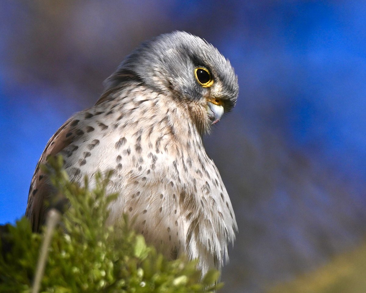 David Rouse 🍃💚🍃 tweet media