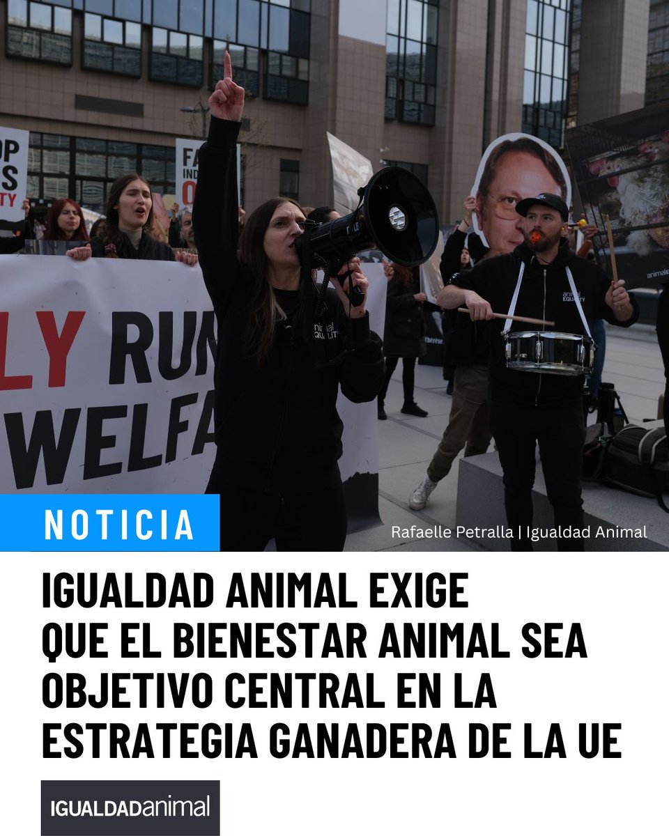 Igualdad Animal tweet media