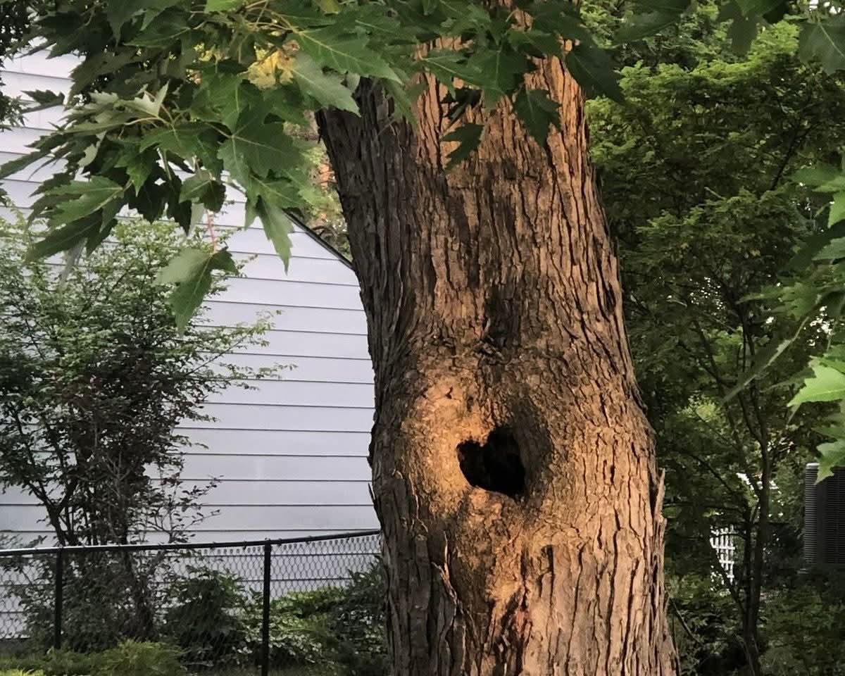 𝓜𝓸𝓸𝓷 tweet media