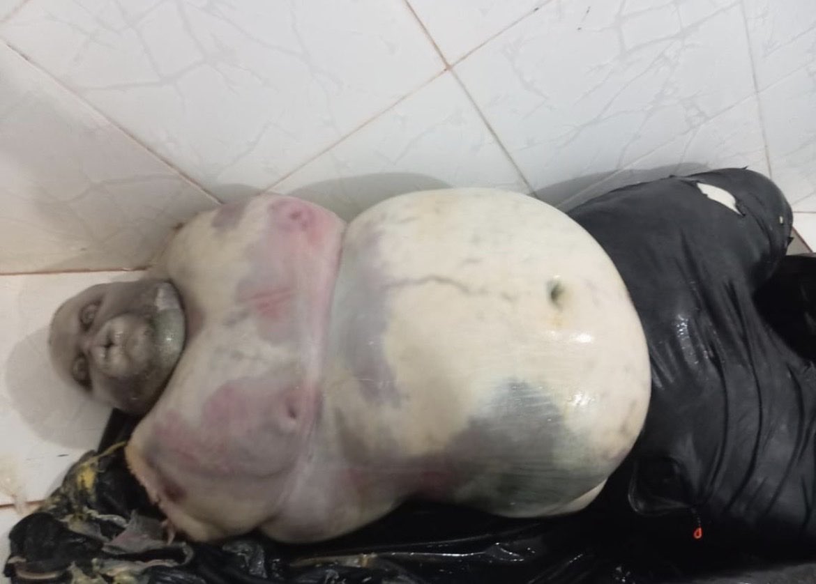 Bella🔫GORETWT SHTWT tweet media