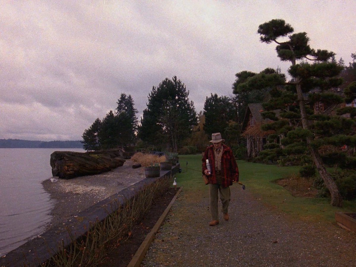 كورت tweet media