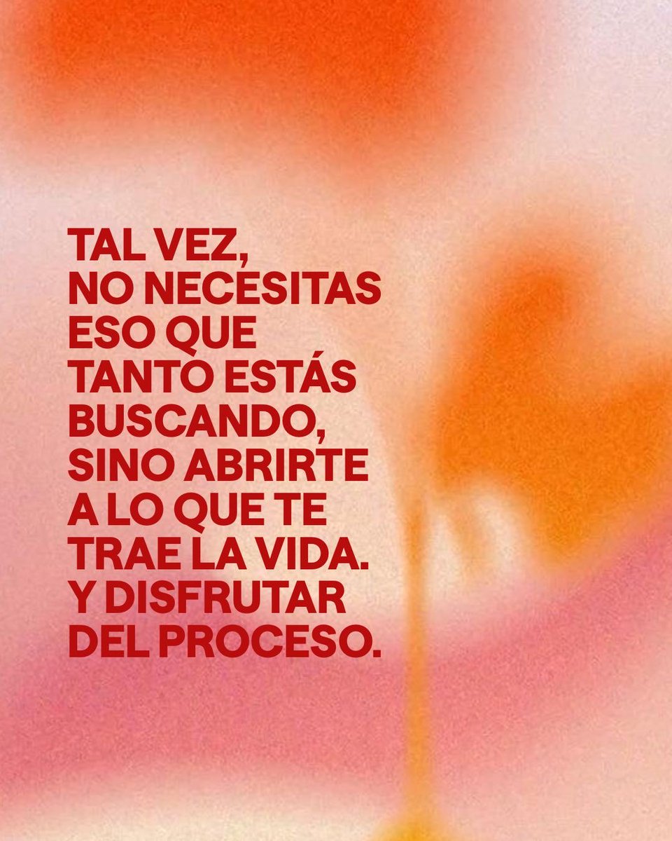 Camila Nobile tweet media