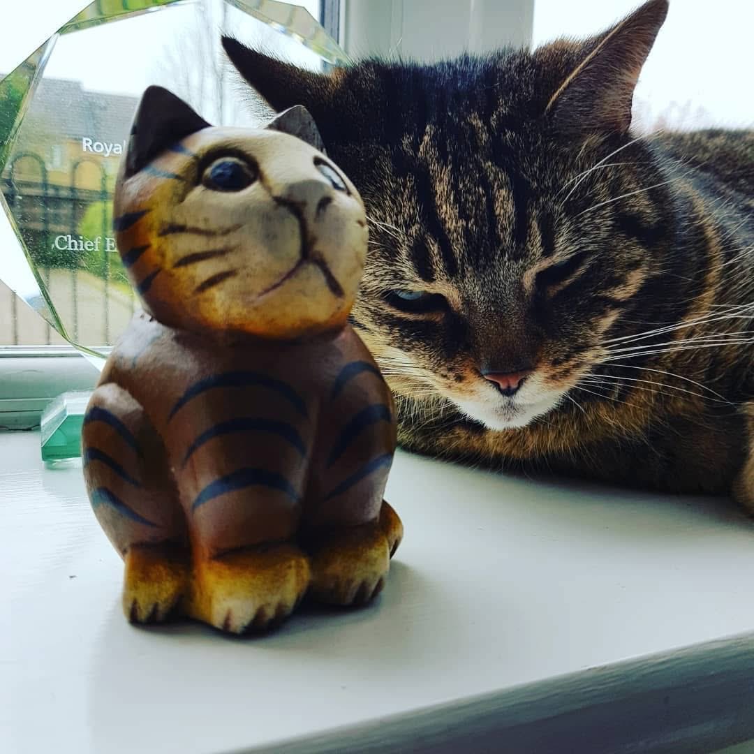 Max➕mum Jayne tweet media