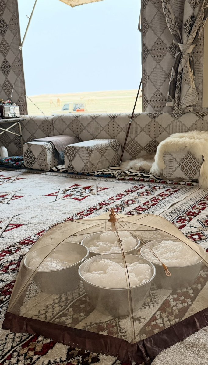 عبدالرحمن ابن هديبان اللويمي 🐎 tweet media