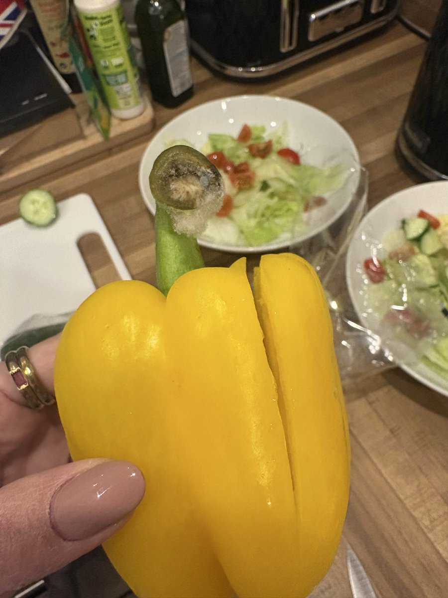 s a r a🌻 tweet media