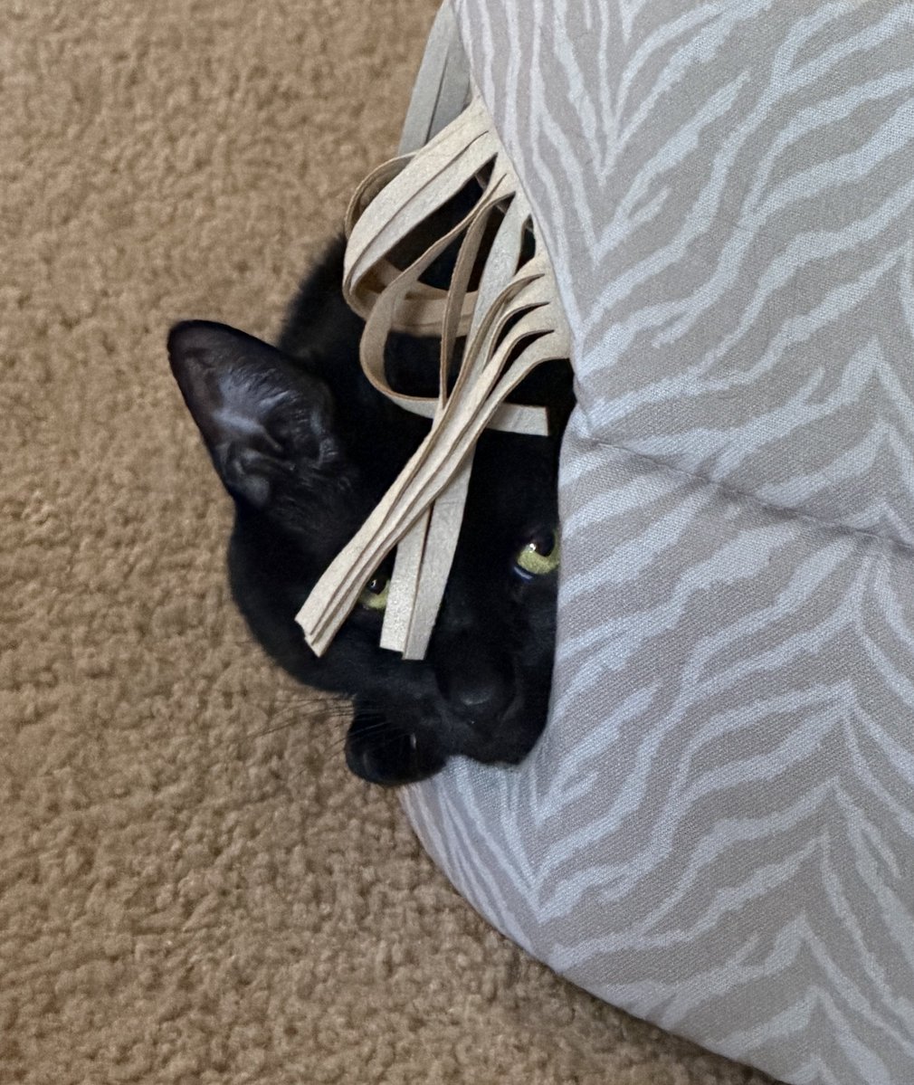 Nes 🎨 tweet media