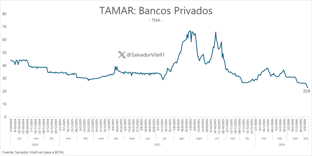 Salvador Vitelli tweet media