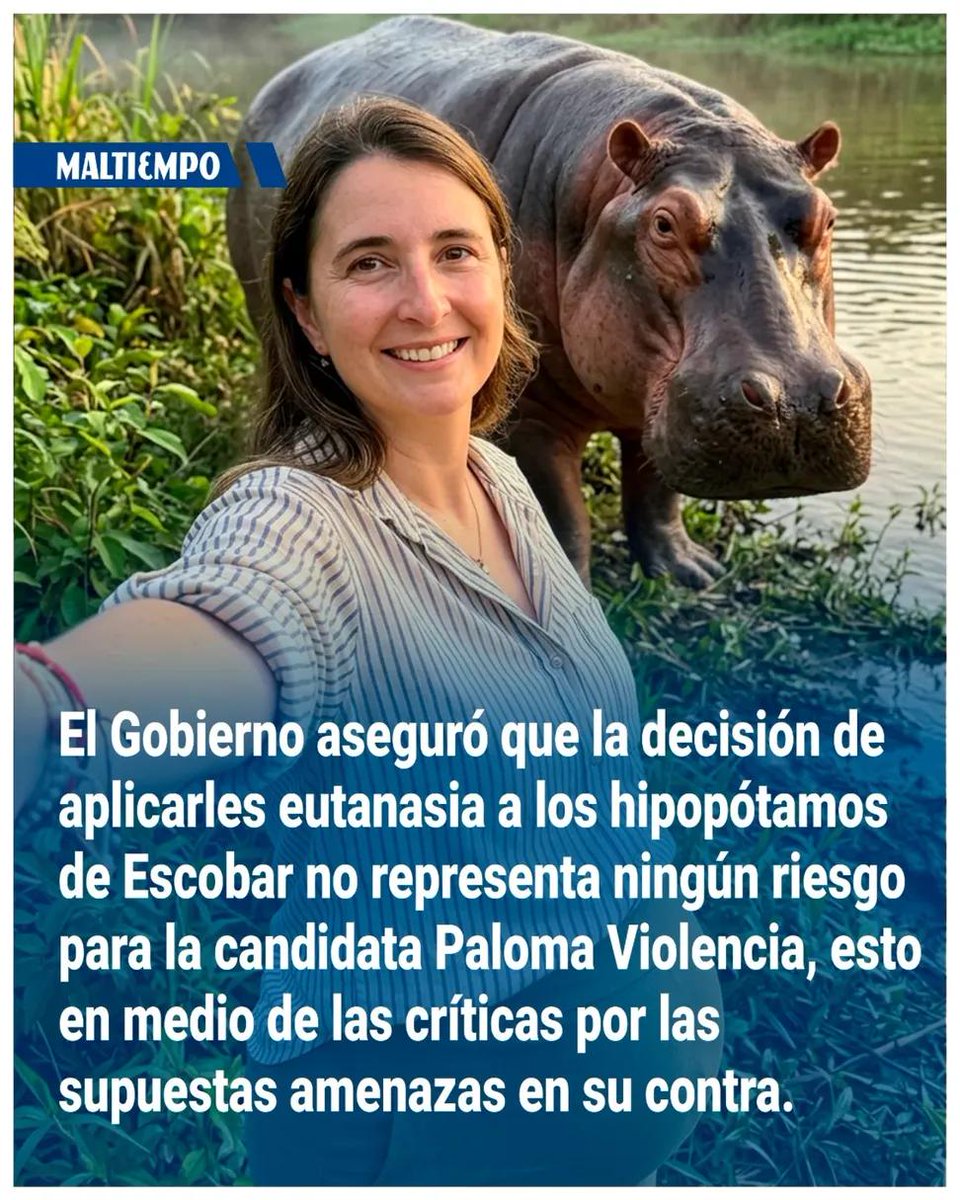 El Virulento tweet media