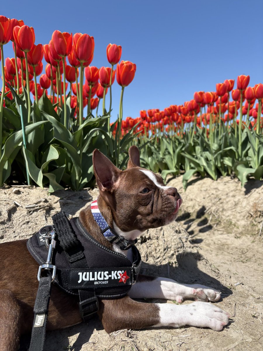 斉藤瞳 tweet media