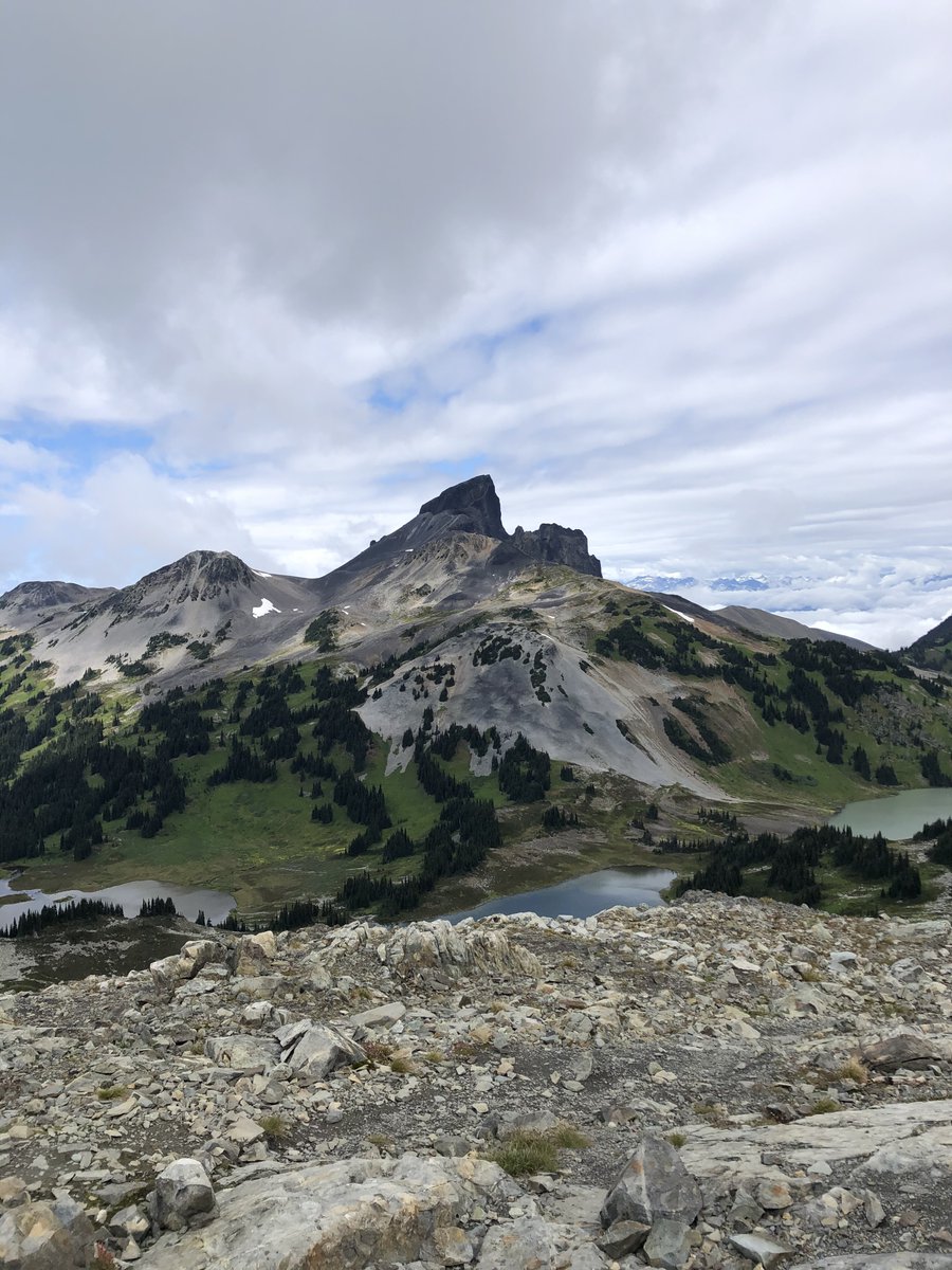 Millin Gabani tweet media