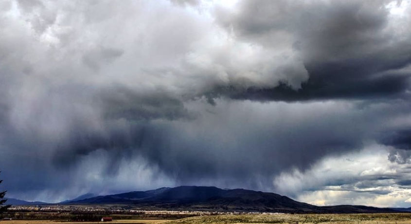 GrrrGraphics 🇺🇸- Ben & Tina Garrison Cartoons tweet media