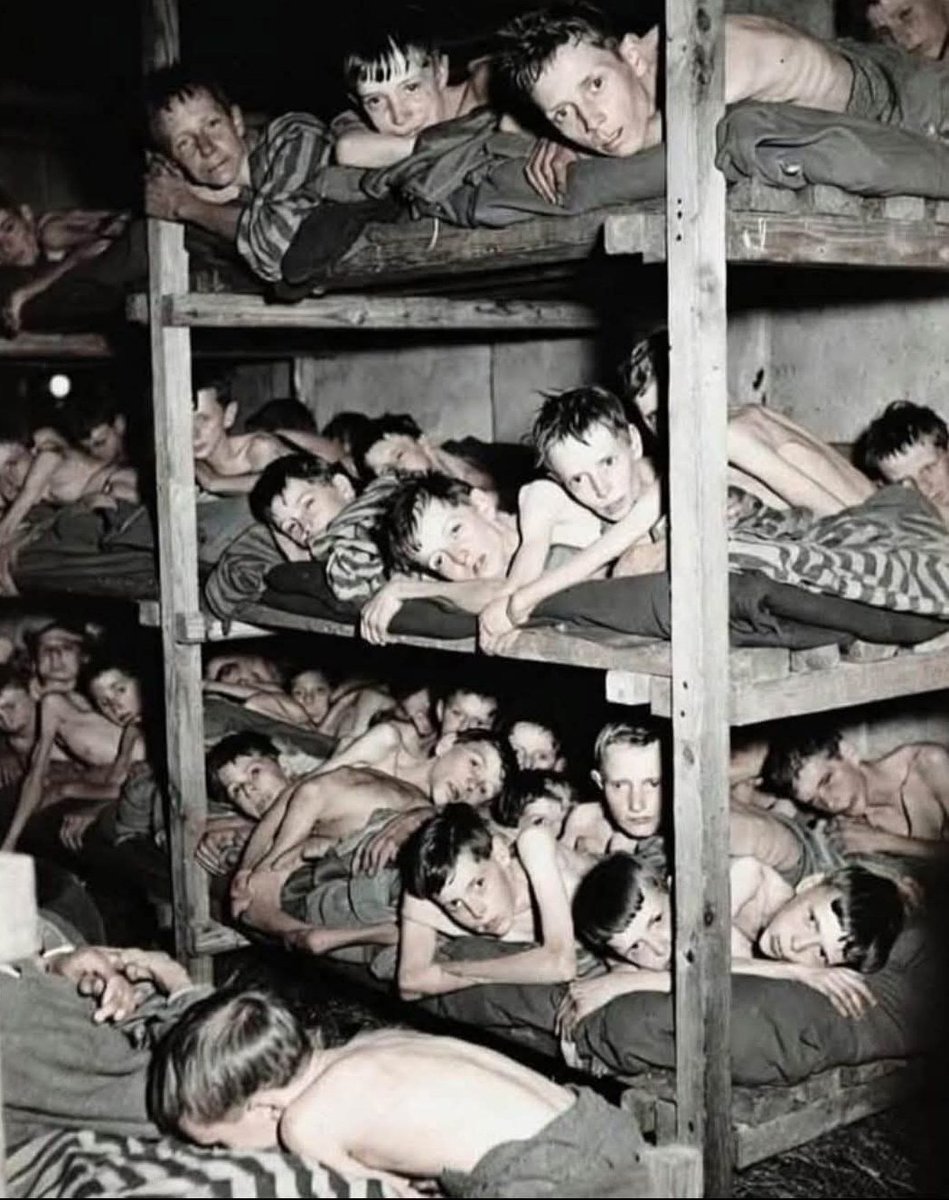 נועה מגיד | Noa magid tweet media