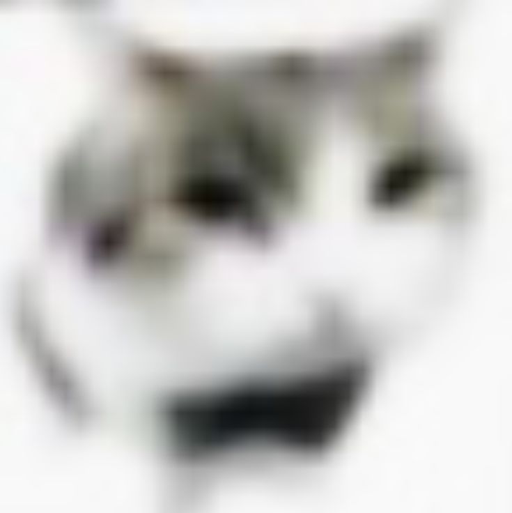 Matsuda_love69 tweet media