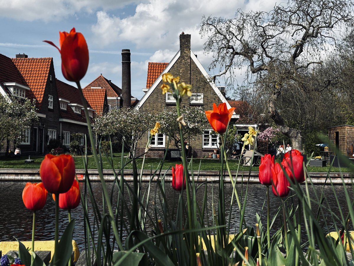 YU (ISHIDA) KANEKO tweet media