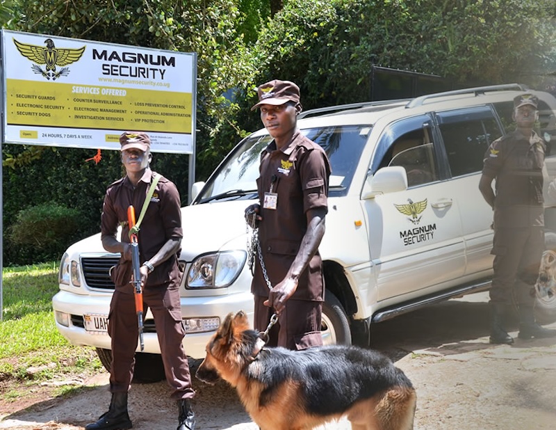 The Observer tweet media