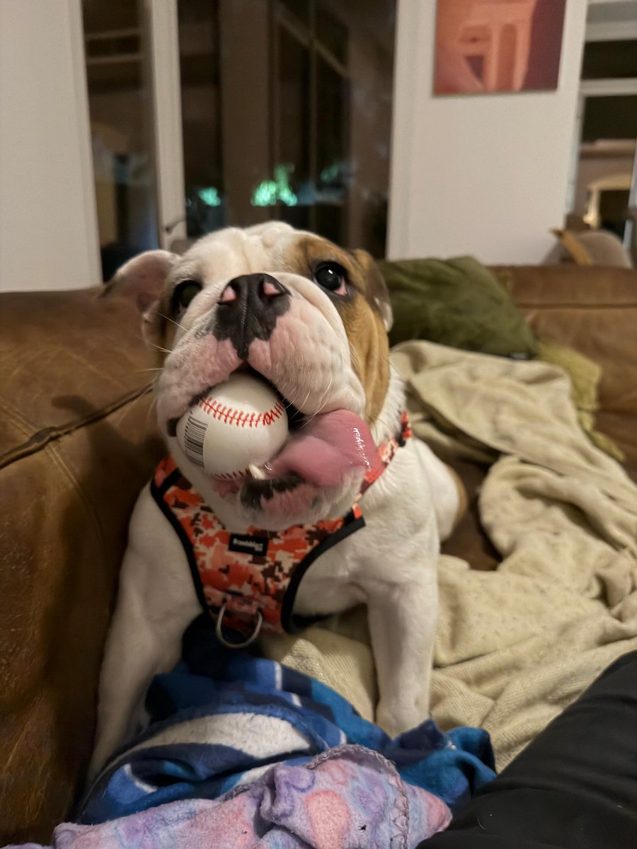 Claire Hopkin 🏴󠁧󠁢󠁷󠁬󠁳󠁿 tweet media