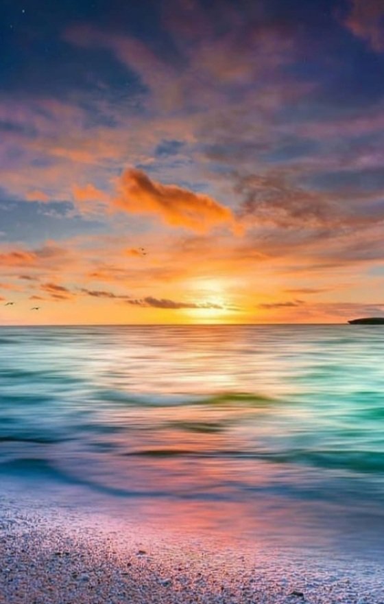 Earth Pictures tweet media