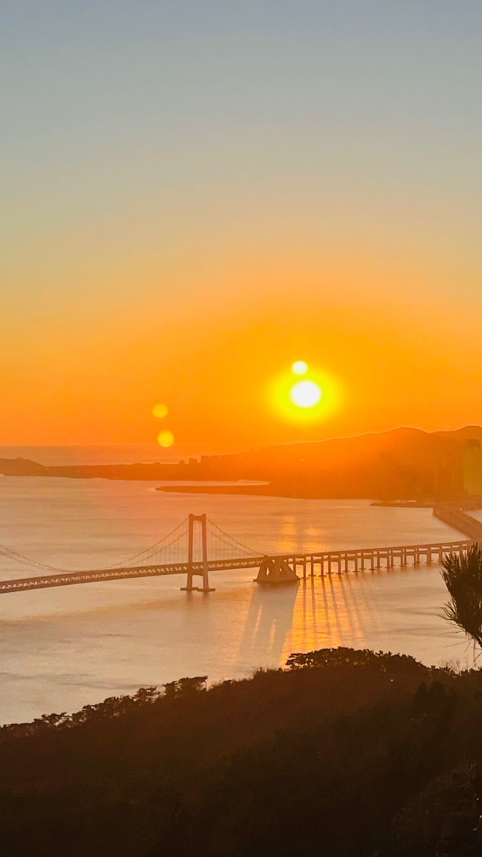 Jeffrey Crabb tweet media