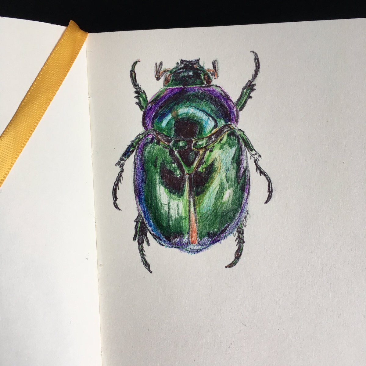 вспомнила, что у меня есть цветные ручки
произошёл ✨жучара✨