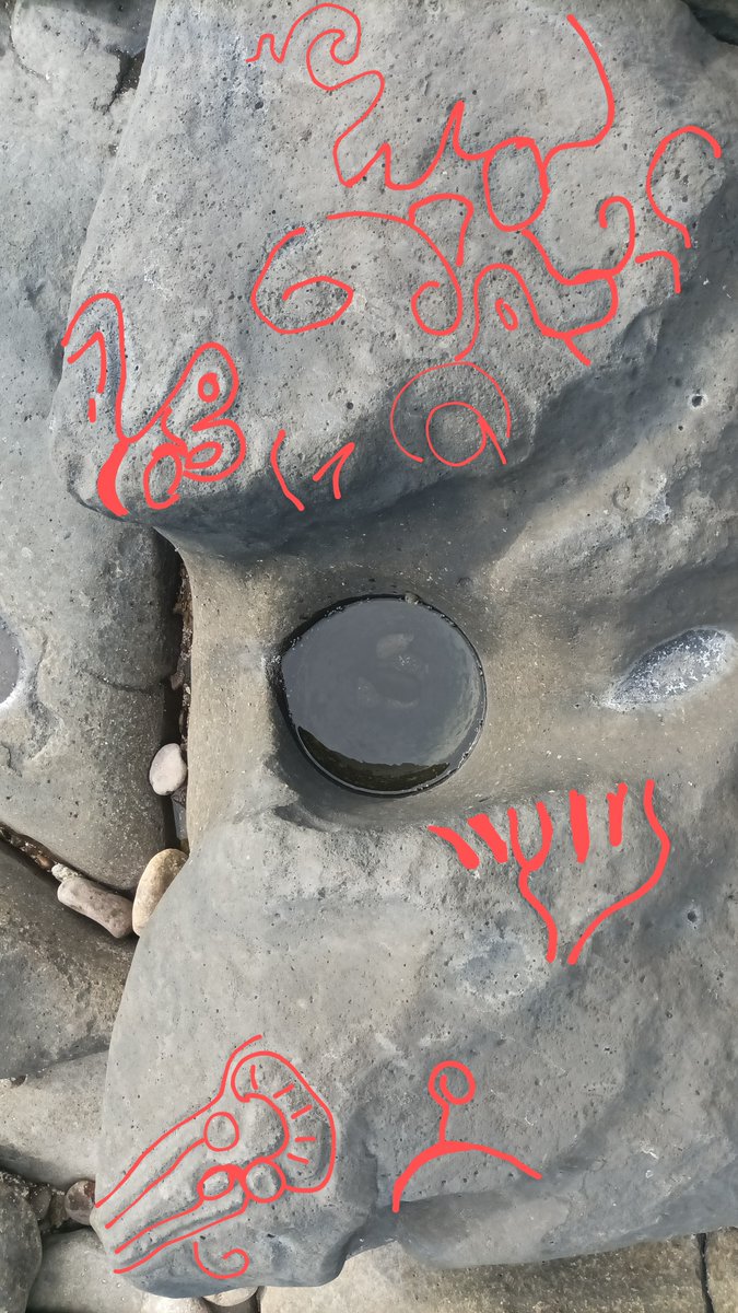 Zona Arqueológica Las Labradas tweet media