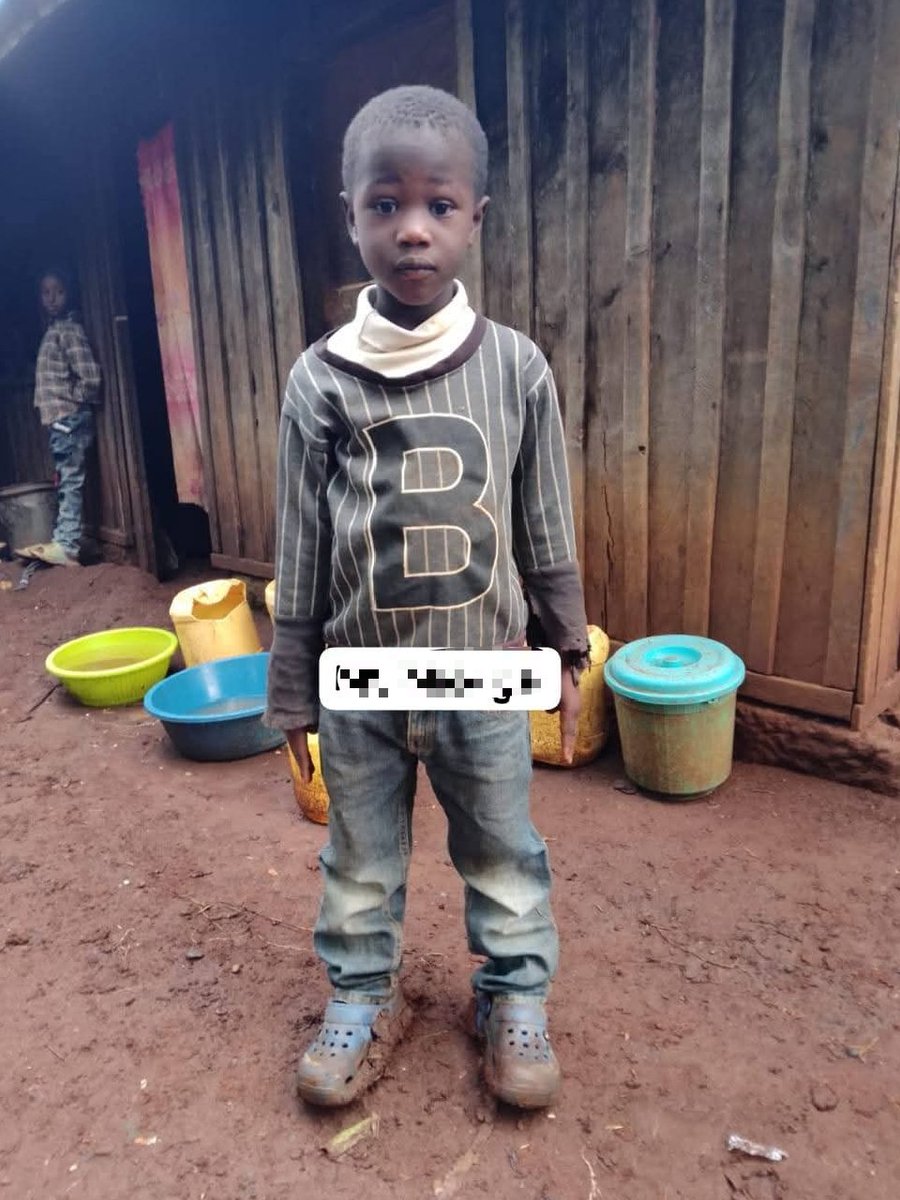 George T. Diano tweet media