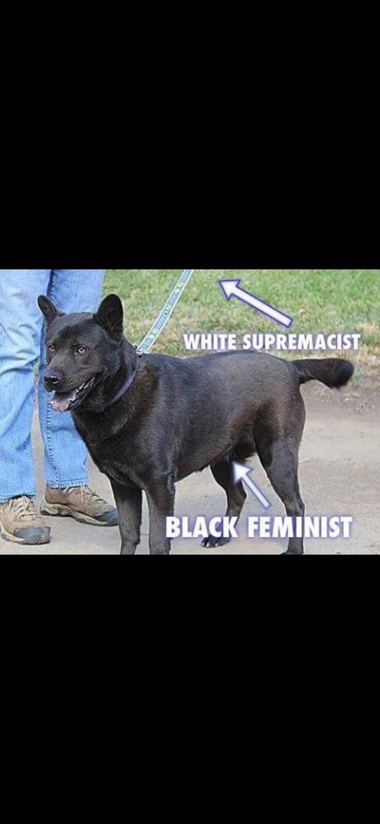 🇺🇸LuCi iLA🇺🇸 tweet media