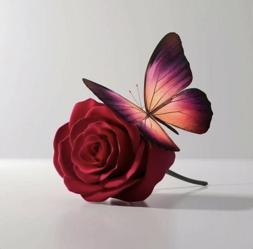 h19195's tweet photo. ﴿ إِذا نَادَىٰ رَبَّهُ نِداءً خَفِيًّا ﴾

نِداء خفي في خلوة مع الله لا أحد من الناس يسمعه، ثم يكتب الله أن يكسر هذا النداء كل القواعد والقوانين البشرية فقال الله : «يا زكريا إنّا نُبشرك» فيرزقه الله بابنه يحيى بعد أن بلغ من الكبر عتيًا !

عطاء الله وجبره لا عمر له ولا زمن❤️ https://t.co/tCjiEZYl3D