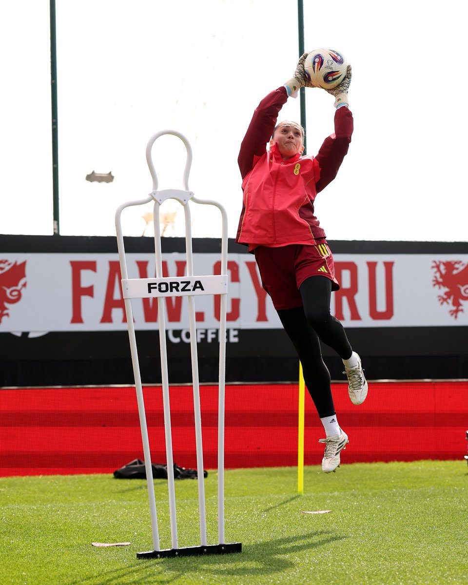 Wales 🏴󠁧󠁢󠁷󠁬󠁳󠁿 tweet media