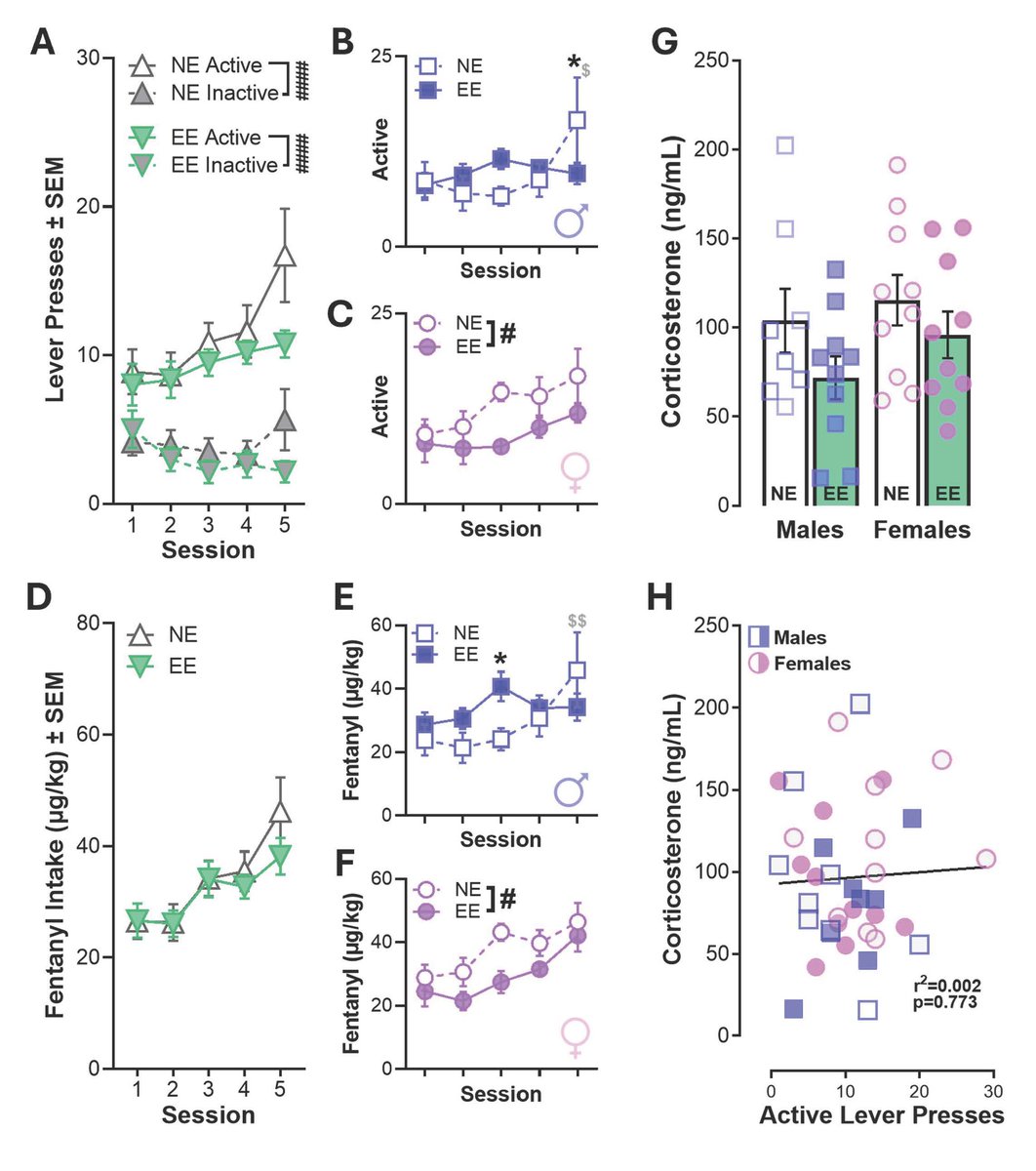 SfN Journals tweet media