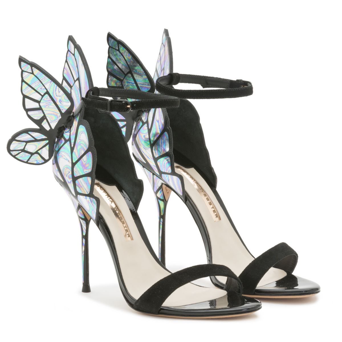 lavender ⊹ ࣪ ˖ ♡ tweet media