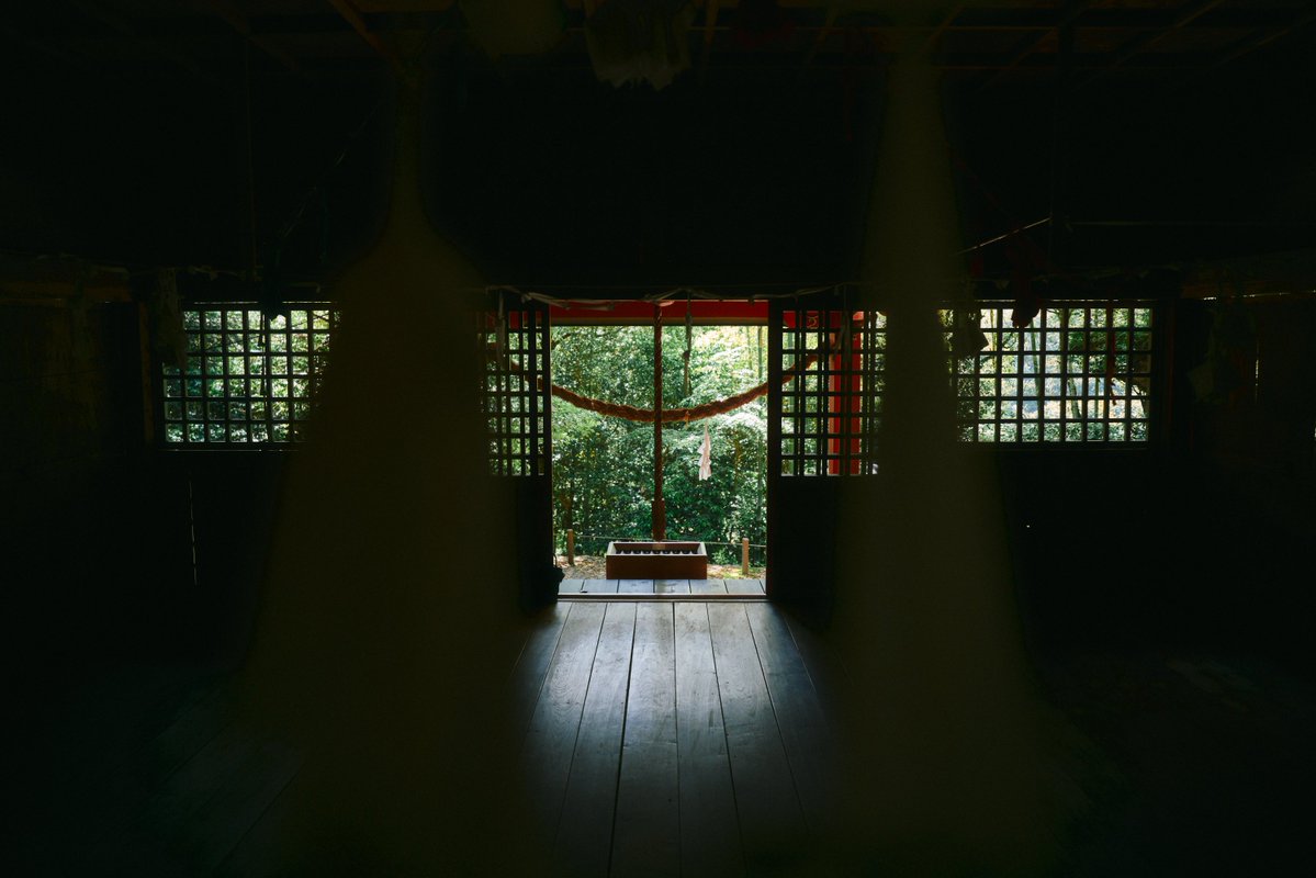 真道 健志 / Shindo Takeshi tweet media