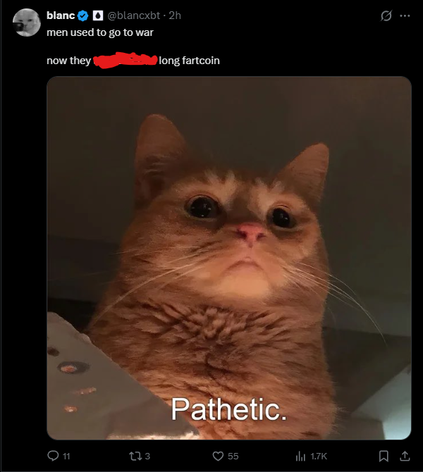 ShitcoinSurfer tweet media