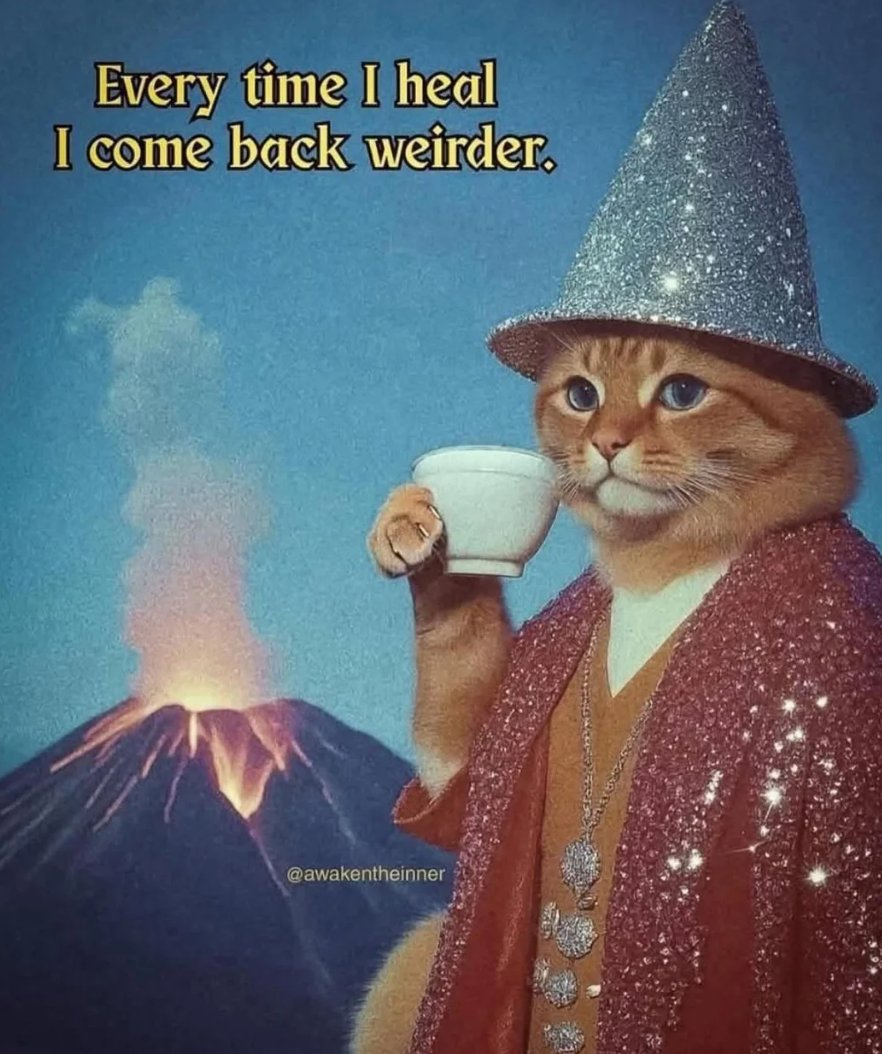 amaya ⋆｡ tweet media