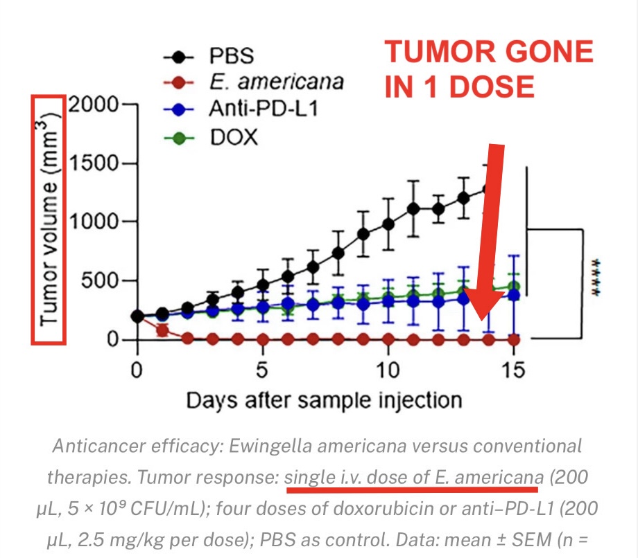 Natural Immunity FTW tweet media