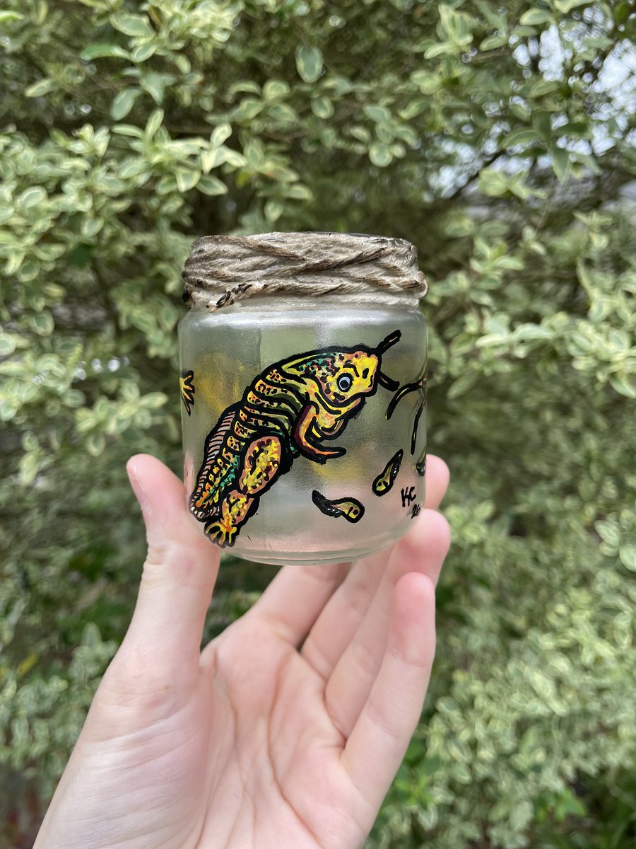 Katscales86 tweet media