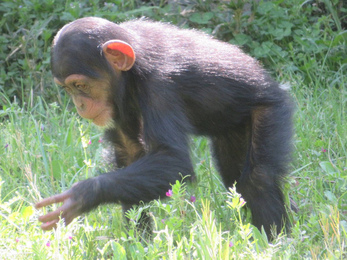 溝上万里央 tweet media