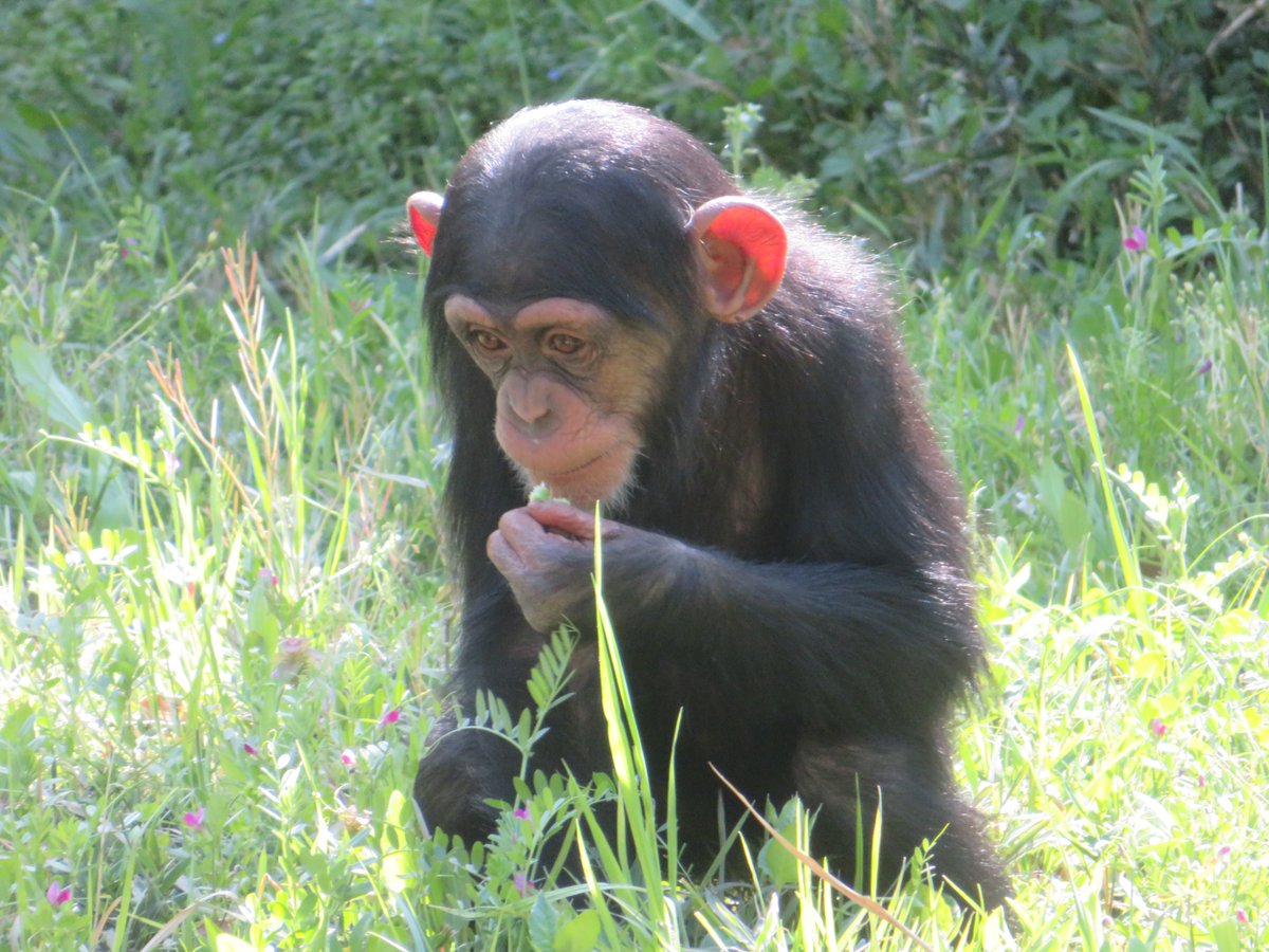 溝上万里央 tweet media