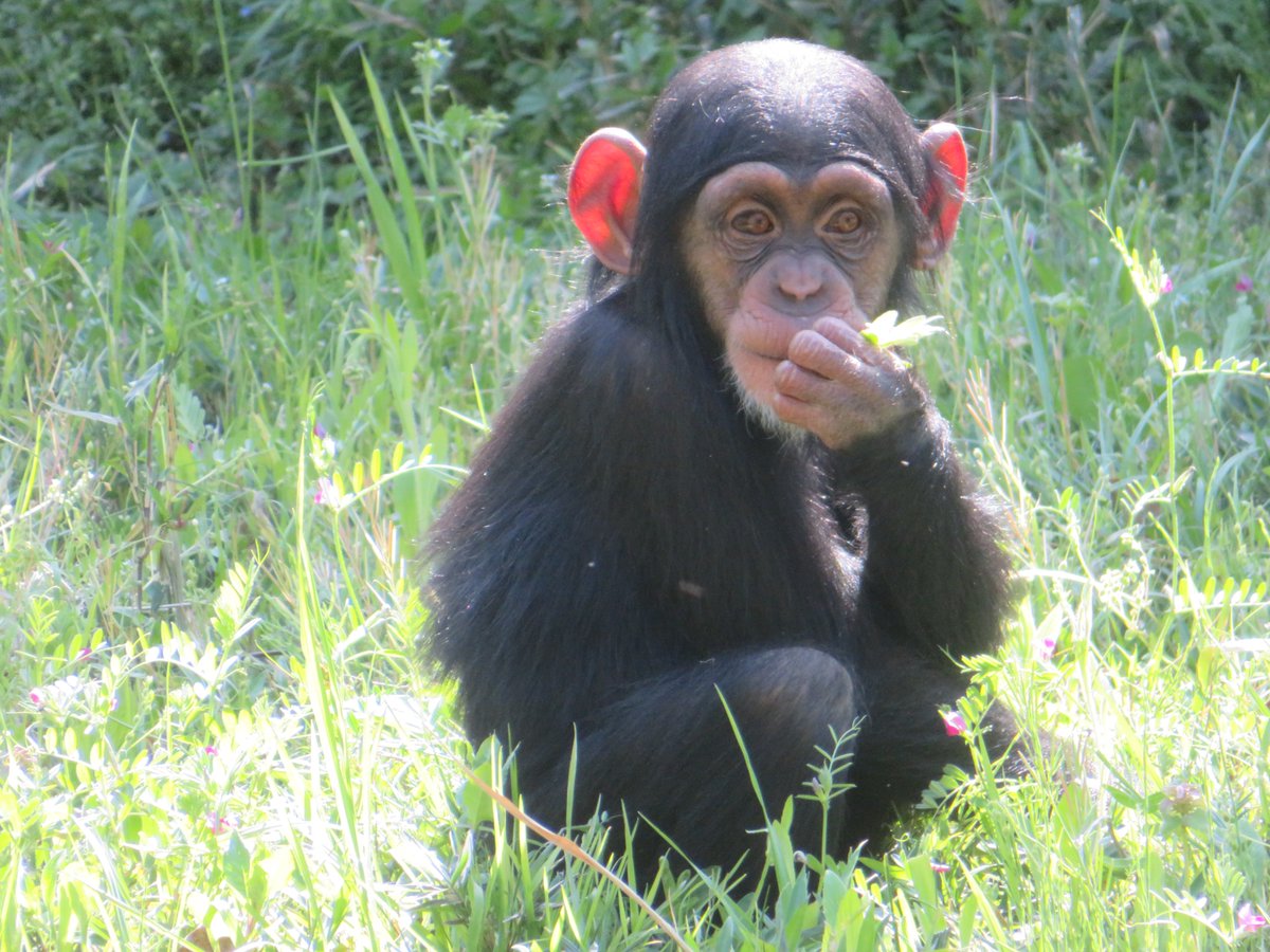 溝上万里央 tweet media