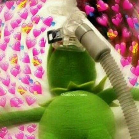 Irene ⭐️ tweet media