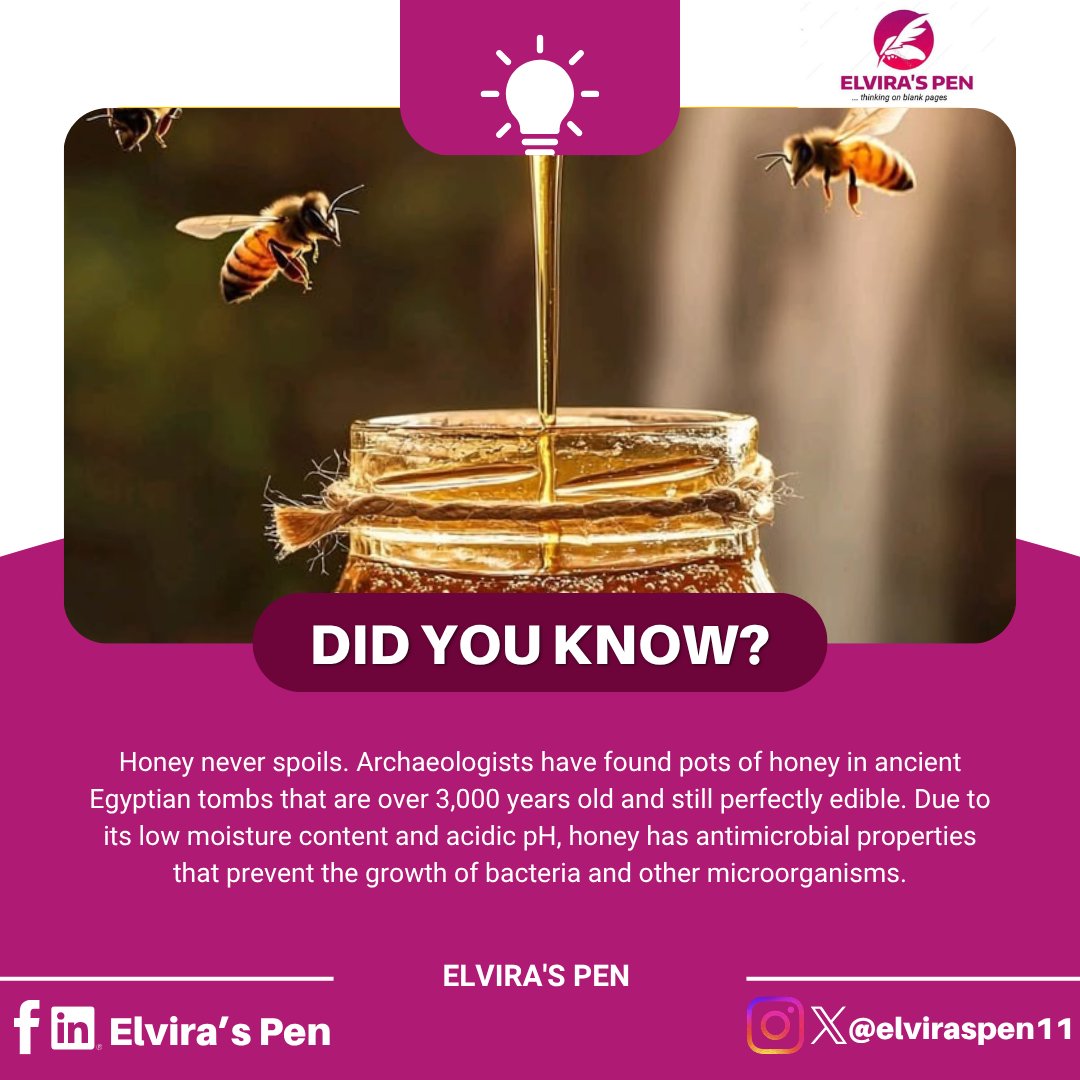 elviraspen11's tweet image. Did you know?✨️
Honey never spoils😳. Jars of honey found in ancient Egyptian tombs over 3,000 years old are still perfectly safe to eat today 🍯
#Funfacts #elviraspen