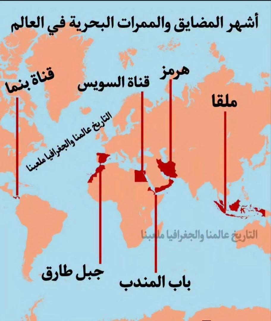 باحث عن الحقيقة tweet media