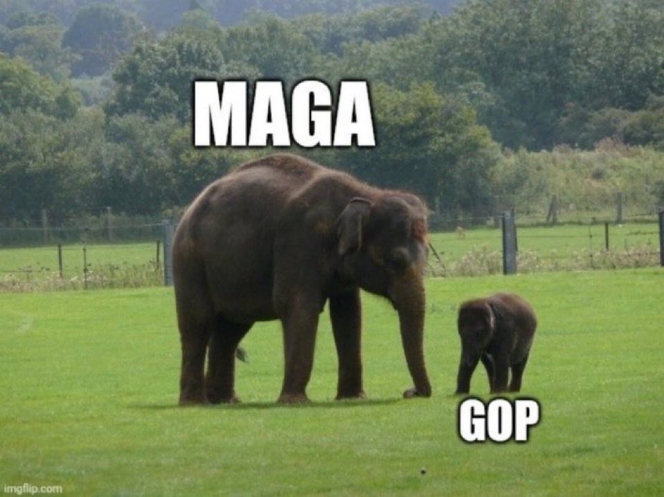 Mike Jay tweet media