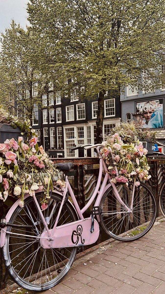 Sof 🐘 tweet media