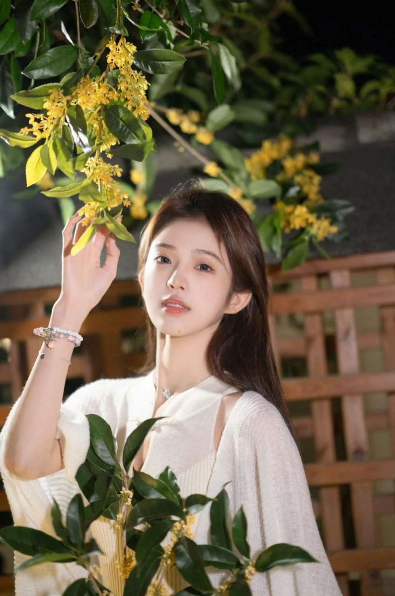 MarySiefke44683's tweet image. 万事顺意🌫️#Glitter #闪光