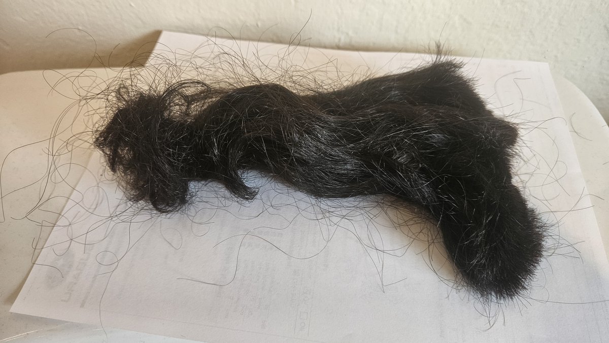 Matter of Trust tweet media