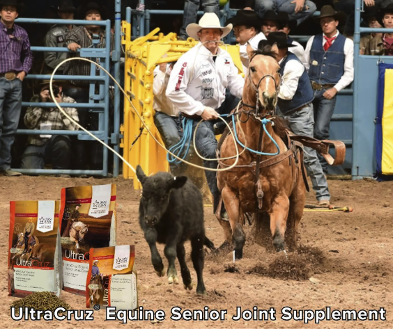 𝙐𝙡𝙩𝙧𝙖𝘾𝙧𝙪𝙯® 𝙀𝙦𝙪𝙞𝙣𝙚 𝙎𝙚𝙣𝙞𝙤𝙧 𝙅𝙤𝙞𝙣𝙩 𝙎𝙪𝙥𝙥𝙡𝙚𝙢𝙚𝙣𝙩
🐎 Developed to help benefit senior horses by maintaining join mobility
🐎 Contains Glucosamine, MSM, Chondroitin Sulfate, and Hyaluronic Acid
🐎Soy Free Formulation