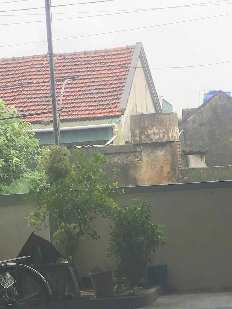 COSAS Perú tweet media